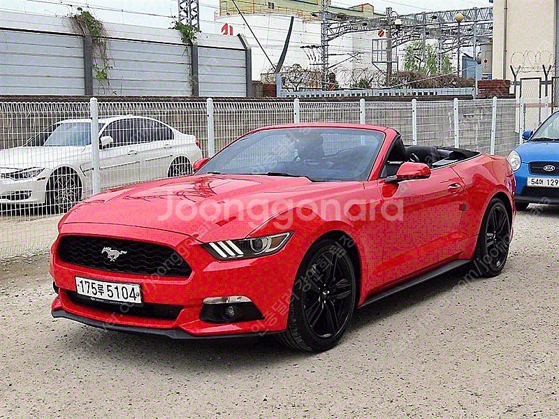 포드 머스탱 중고 머스탱 중고차 2015년식 컨버터블 ...--6