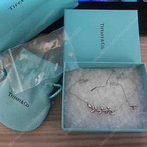 티파니 팔로마 피카소 목걸이 실버