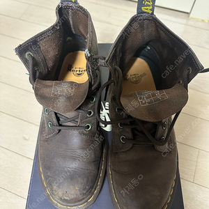 닥터마틴 10064 브라운 6홀
