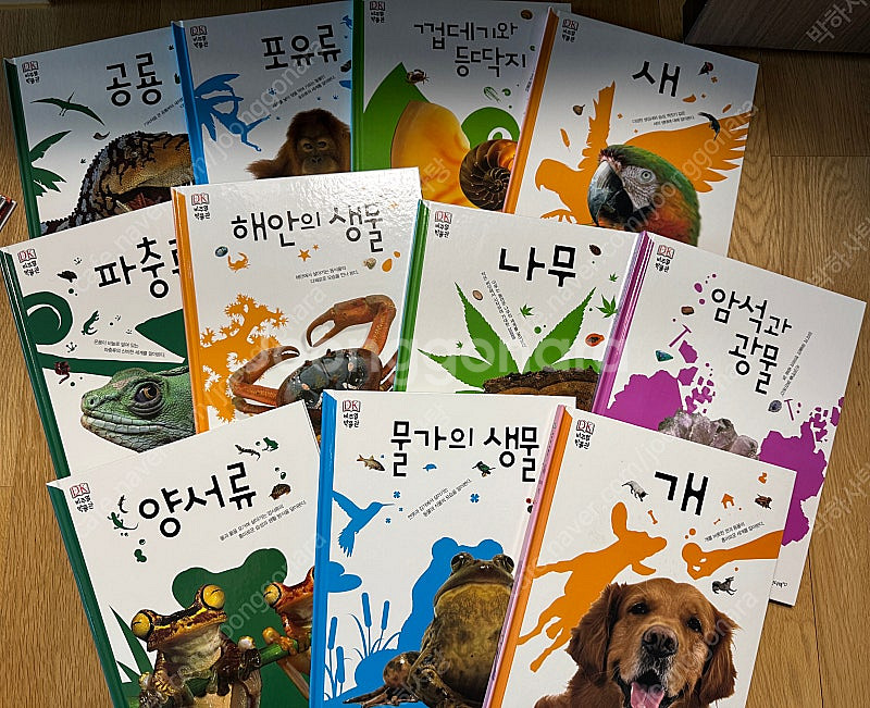 (부산 사하구)웅진 비주얼 박물관 4만, 첫인물 그림책...--0