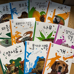 (부산 사하구)웅진 비주얼 박물관 4만, 첫인물 그림책 이담에 전집(45권)+CD 2만원