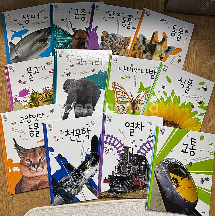 (부산 사하구)웅진 비주얼 박물관 4만, 첫인물 그림책...--5