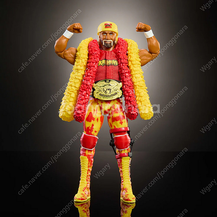 WWE WWF 레슬링 피규어 판매합니다(추가)--3