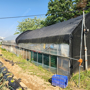 비닐하우스 6x20