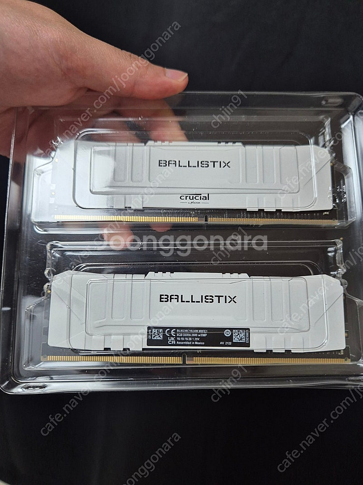 발리스틱스 고수율 ram ddr4 3600 cl16 8...--1