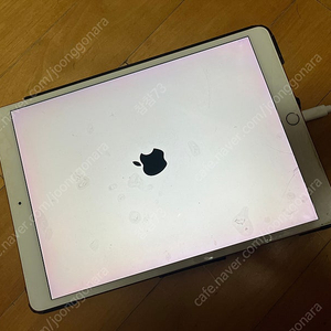 아이패드 프로 10.5 64gb 로즈골드