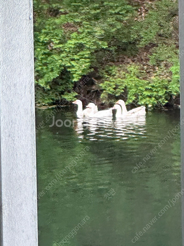 아이패드프로 3-4세대 구매합니다.(패드만) 택배, 안...--0