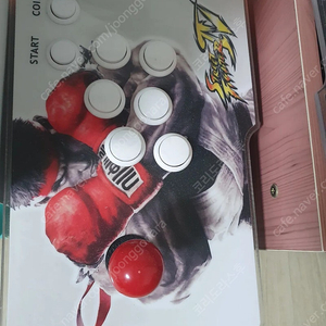 월광보합 분리형