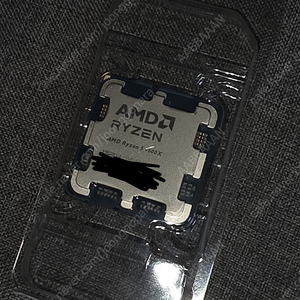 라이젠 9600x