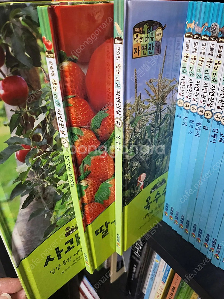 프뢰벨 자연관찰 5만원--1
