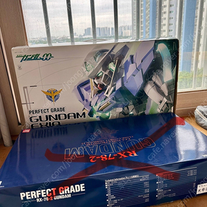 PG 엑시아