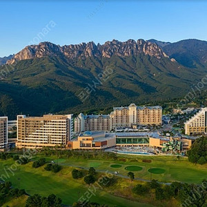 (현충일연휴) 골프부킹/ 델피노 소노펠리체 자쿠지 스파룸!