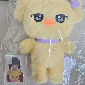 아이브 미니브 팝업 강안지 나오리 30cm 플러시 인형