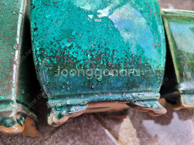 야생화분 다육분재 홍암분--4