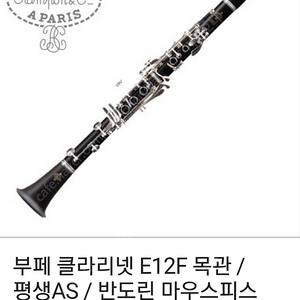 부페클라리넷 E12F