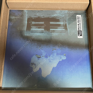 빌리아일리시 Billie Eilish - Hit Me Hard And Soft (Isolated Vocals) RSD 한정판 LP