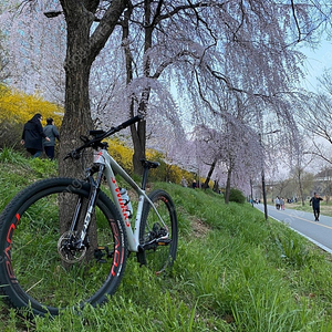 S-Works 에픽 하드테일