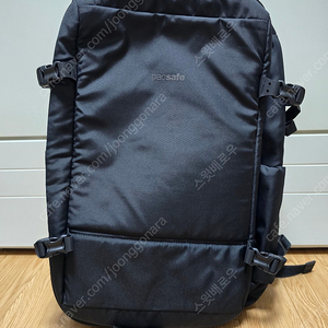 팩세이프 바이브 40L 도난 방지 여행 가방