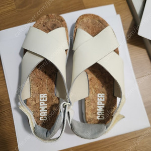 캠퍼 오르가 37