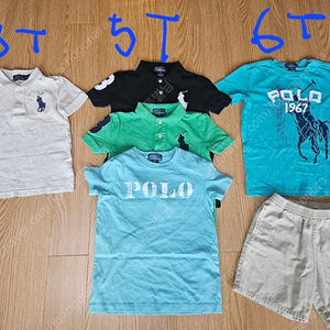 폴로 3t 5t 6t