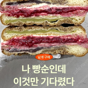 에이밍 밍모스 구해요(오레오,피쵸)
