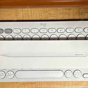 [ APPLE ] 애플 펜슬 프로 APPLE Pencil Pro