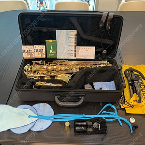 YAMAHA 야마하 알토 색소폰 YAS 280 + 셀마 피스 + 반도렌 피스