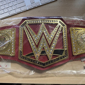 WWE 코스튬 유니버셜 챔피언쉽 2017 벨트 약 1m