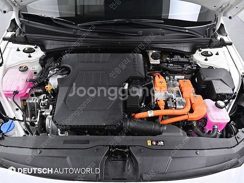 아반떼 중고 아반떼 CN7 중고 흰색 2021년식 38...--6