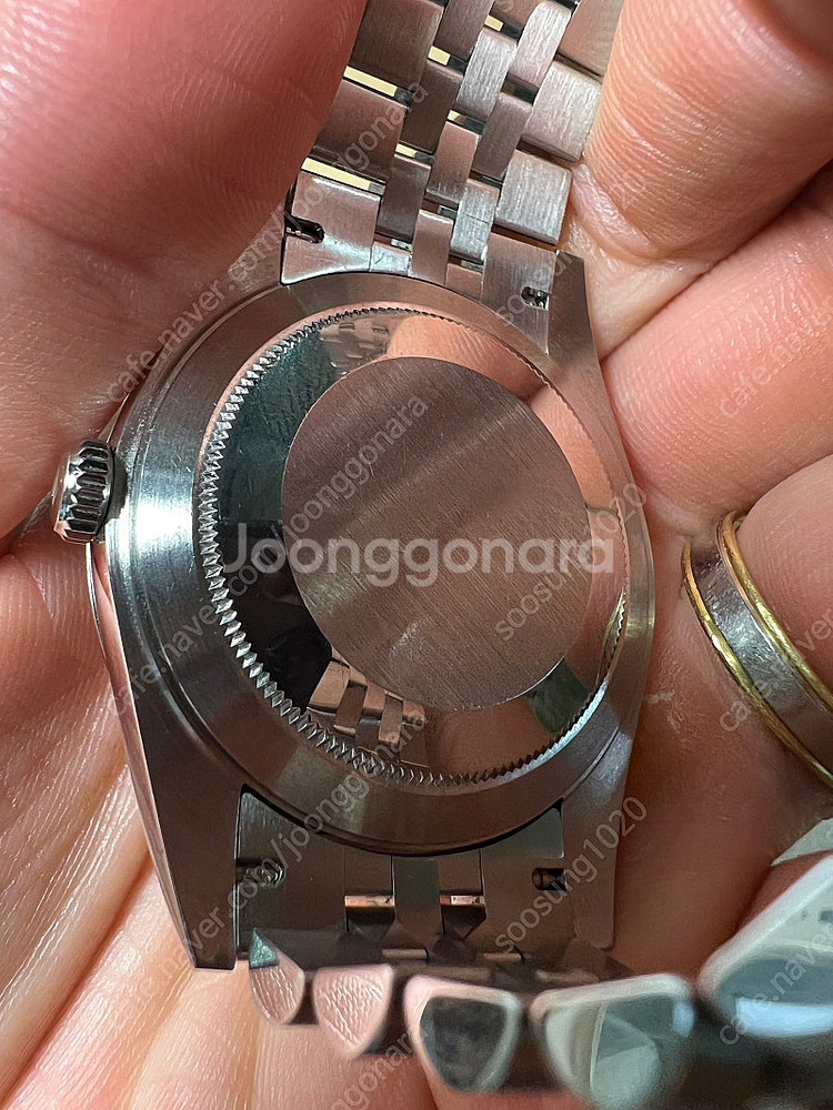 데이저스트 41mm--4
