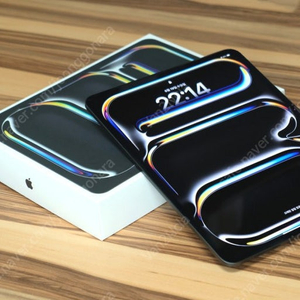 아이패드 프로 m4 11인치 256 gb 셀룰러 (스페이스그레이) 팝니다.