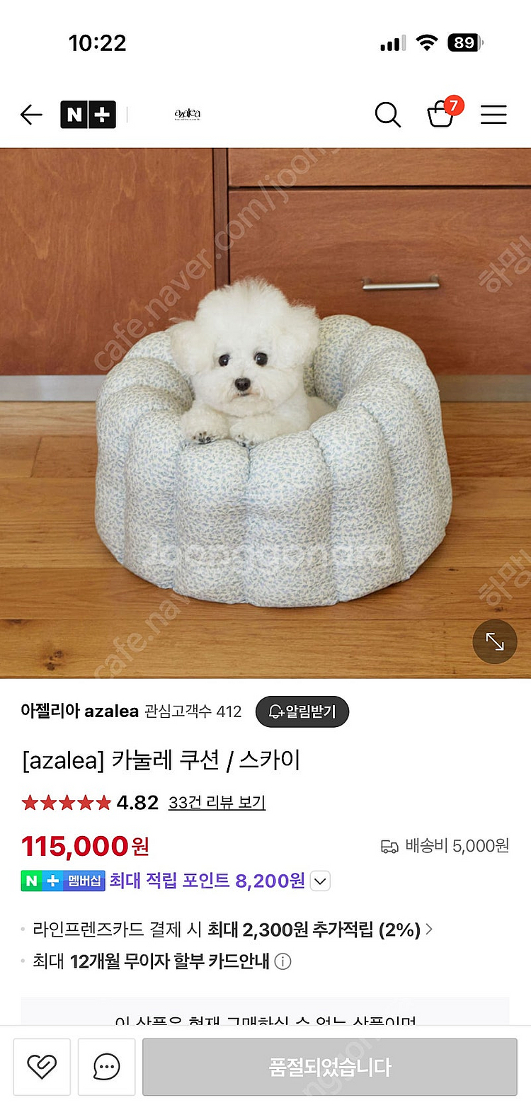 아젤리아 카눌레 쿠션 스카이 / 강아지 쿠션 고양이 쿠...--0