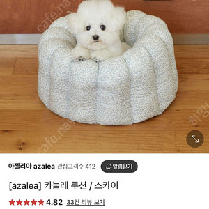 아젤리아 카눌레 쿠션 스카이 / 강아지 쿠션 고양이 쿠션