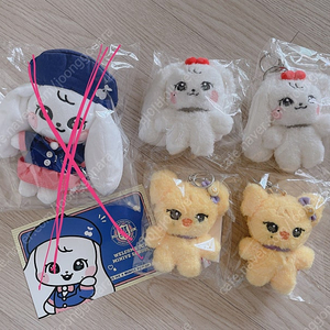 미니브 팝업 새상품