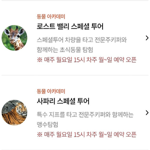에버랜드 6월 3~15일 사파리스페셜투어 / 로스트밸리스페셜투어 양도