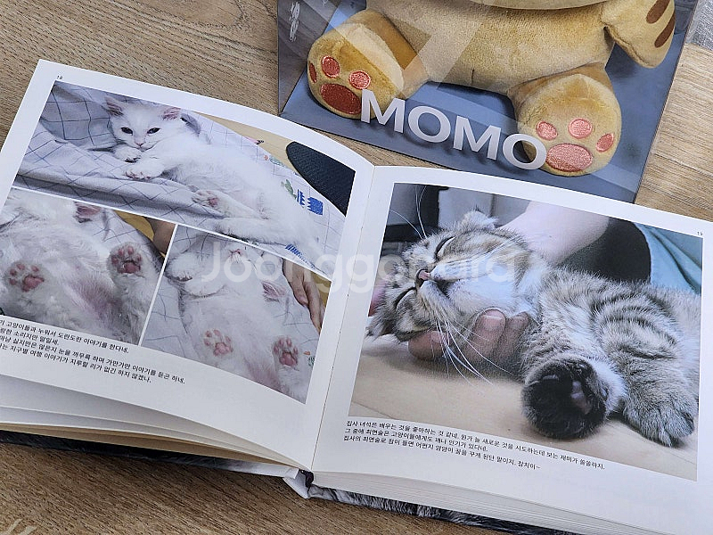 크림히어로즈 모모 인형 및 책--1