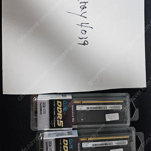 팀그룸 ddr5-5600 32g x2