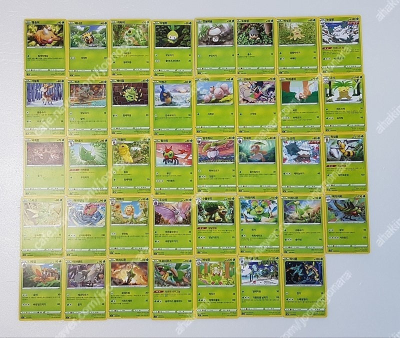 포켓몬카드 일반카드(241장) TR카드(16장)에너지 카드(2장) 이미지