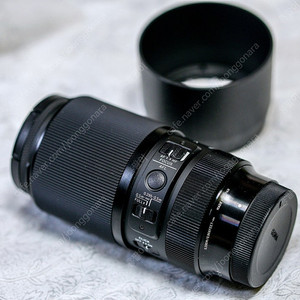 시그마 아트 105mm 2.8 마크로 소니