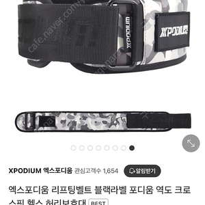 엑스포디움 벨트 L