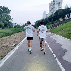 버디 스탠다드 3세대 삽니다.