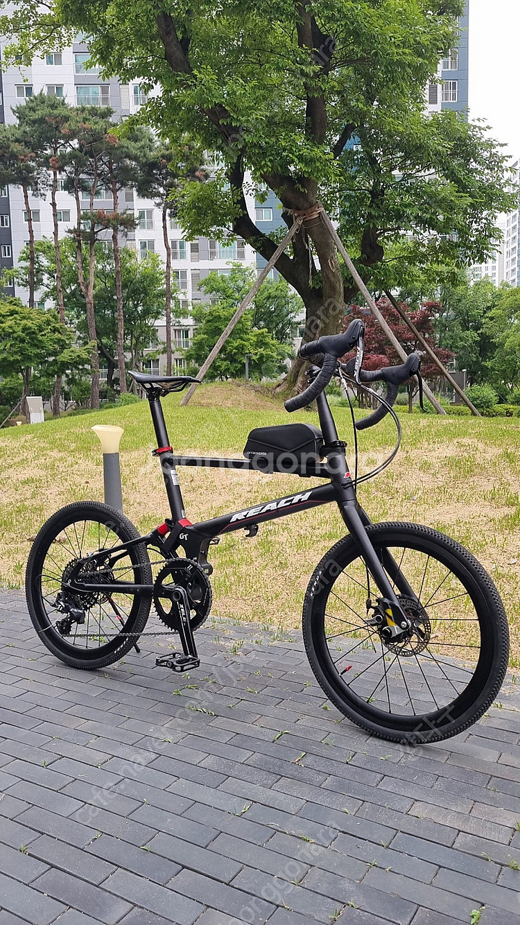 퍼시픽 리치gt--1