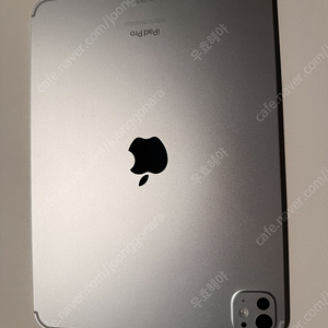아이패드 프로 11인치 m4 1tb 셀룰러 애캐플 매직키보드 팝니다