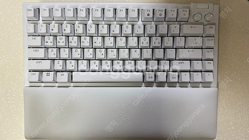 레이저 블랙위도우 Blackwidow V4 75% 화이...--1