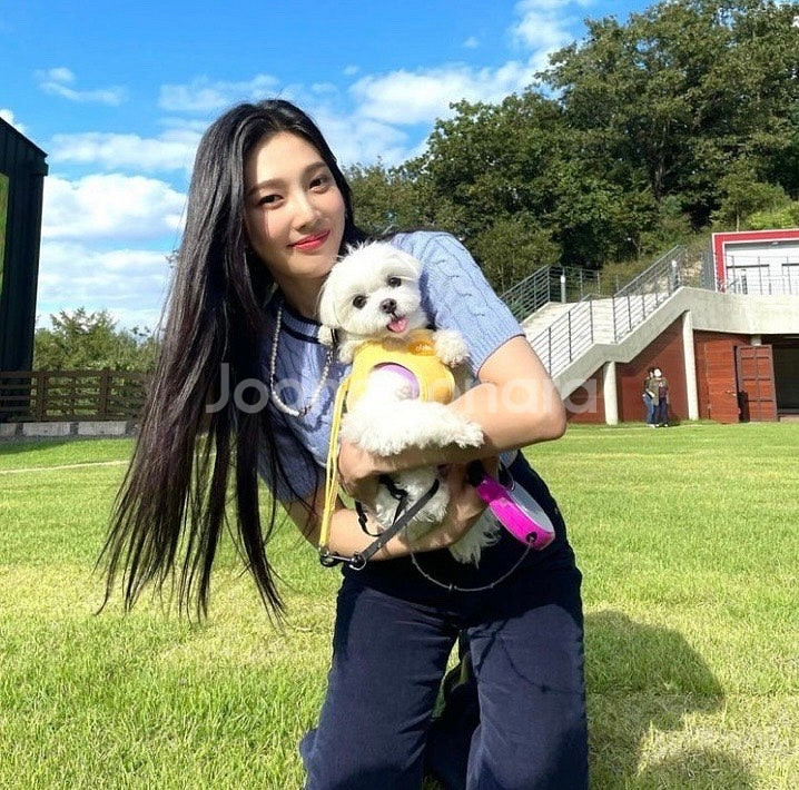 그로브(grove) venny knit 레드벨벳 조이착...--3