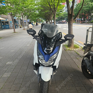 혼다 포르자 300cc (2020년식)