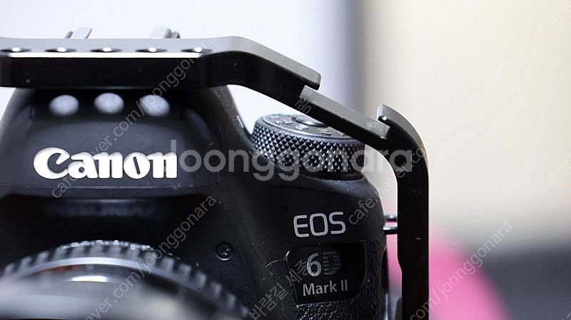 캐논 6D Mark2 + 스몰리그 케이지 + EF 24...--0