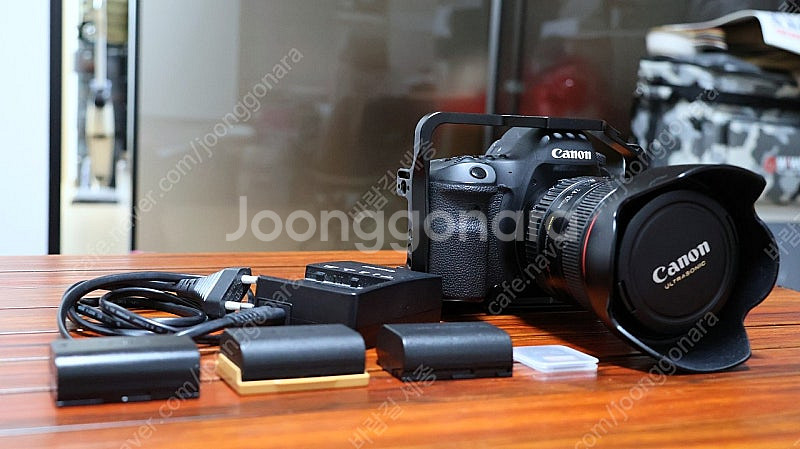 캐논 6D Mark2 + 스몰리그 케이지 + EF 24...--8