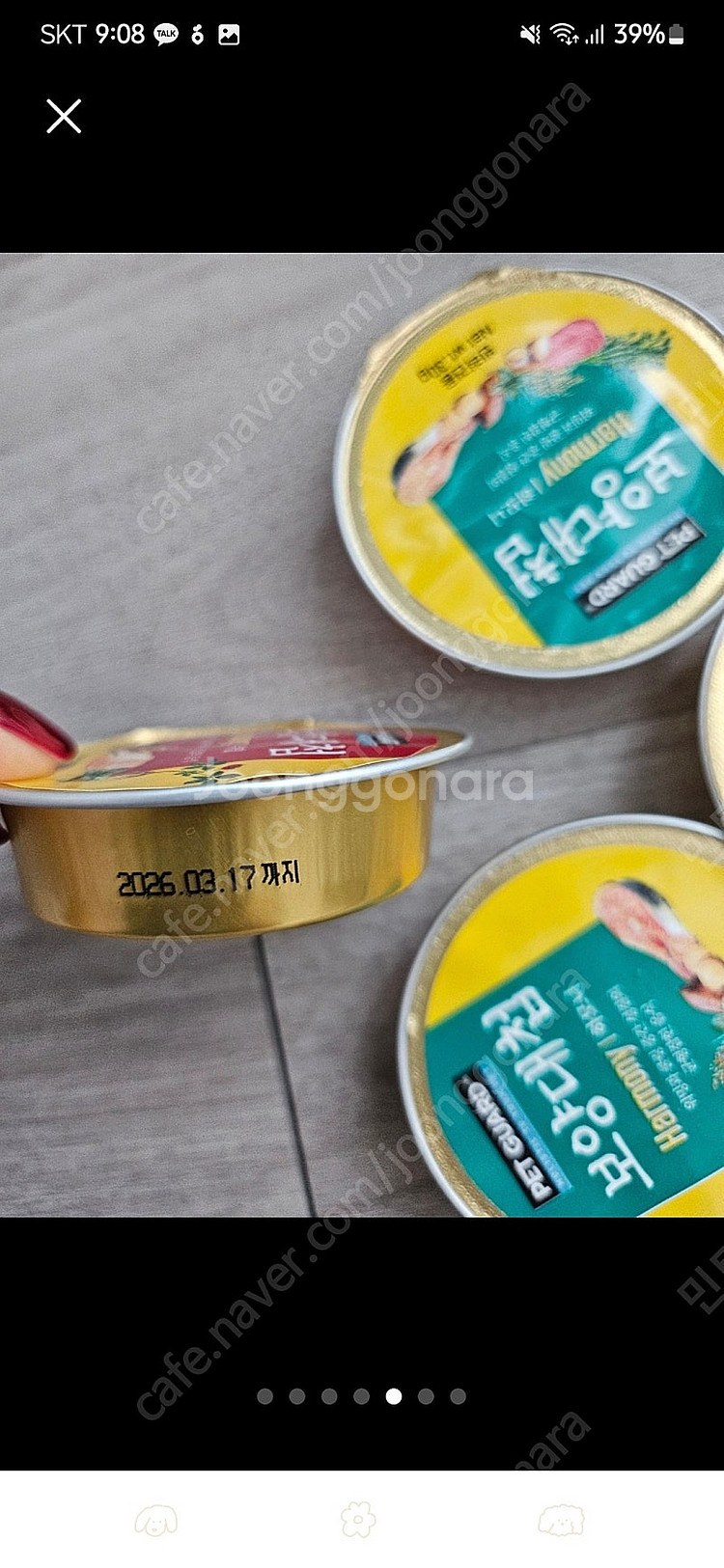 강아지 영양식,두유--4