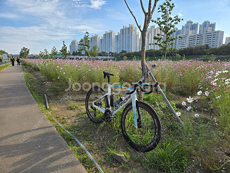 메리다 리엑토 6000 팀컬러 24년식팝니다--4